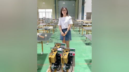 無塵子母鋸 推臺鋸 木工臺鋸 封邊機(jī) 無刷電機(jī) 木工鋸臺 折疊推臺鋸 質(zhì)量杠杠的好 總有一款適合你